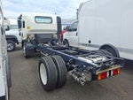 2024 Chevrolet Low Cab Forward 4500 NA